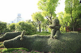 上海奉賢園林綠化工程 打造生態(tài)宜居新城的綠色引擎