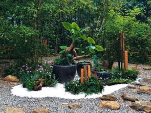 轉(zhuǎn)型的十字路口 園林綠化行業(yè)的挑戰(zhàn)與未來(lái)路徑