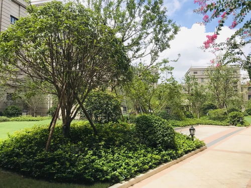 農工商綠化工程項目喜獲“園林杯”雙獎殊榮